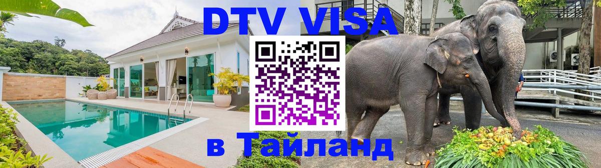 Оформление DTV визы под ключ: стоимость и тарифы, только загранпаспорт - 